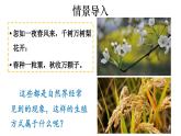 2025年春蘇教版生物八年級下冊教學(xué)課件 第21章  第2節(jié) 植物的有性生殖