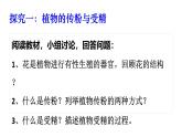 2025年春蘇教版生物八年級下冊教學(xué)課件 第21章  第2節(jié) 植物的有性生殖