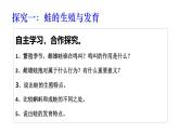 2025年春蘇教版生物八年級下冊教學(xué)課件 第21章  第4節(jié) 兩棲類的生殖與發(fā)育