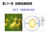 2025年春蘇教版生物八年級下冊教學(xué)課件 第21章  第5節(jié) 鳥類的生殖與發(fā)育