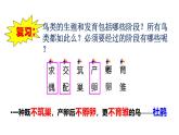 2025年春蘇教版生物八年級下冊教學(xué)課件 第21章  第5節(jié) 鳥類的生殖與發(fā)育