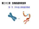 2025年春蘇教版生物八年級下冊教學課件 第22章  第1節(jié) DNA是主要的遺傳物質(zhì)
