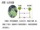 2025年春蘇教版生物八年級下冊教學課件 第22章  第1節(jié) DNA是主要的遺傳物質(zhì)