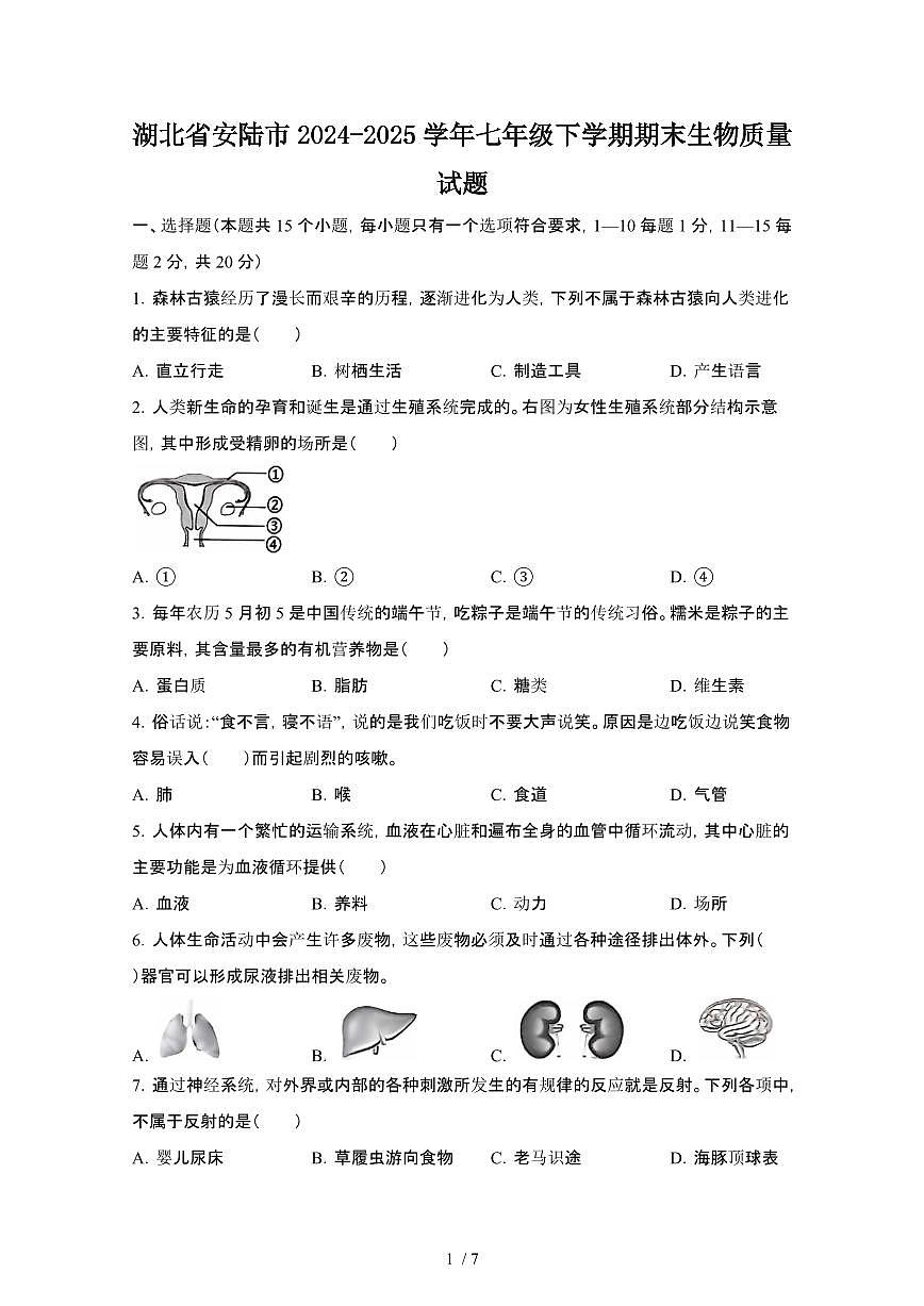 2024_2025学年湖北安陆七年级第二学期期末生物试卷[有答案]第1页
