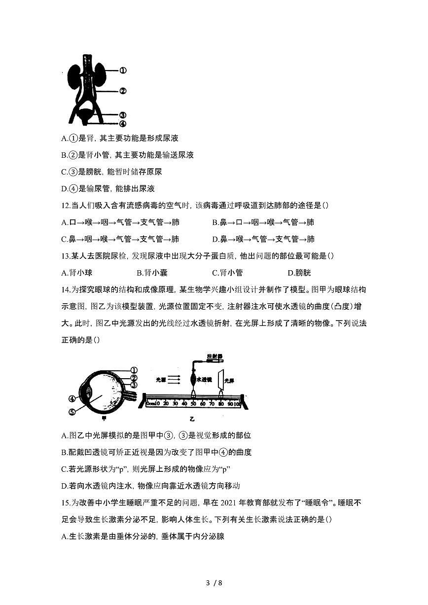 2024_2025学年四川巴中七年级第二学期期末生物试卷[有答案]第3页