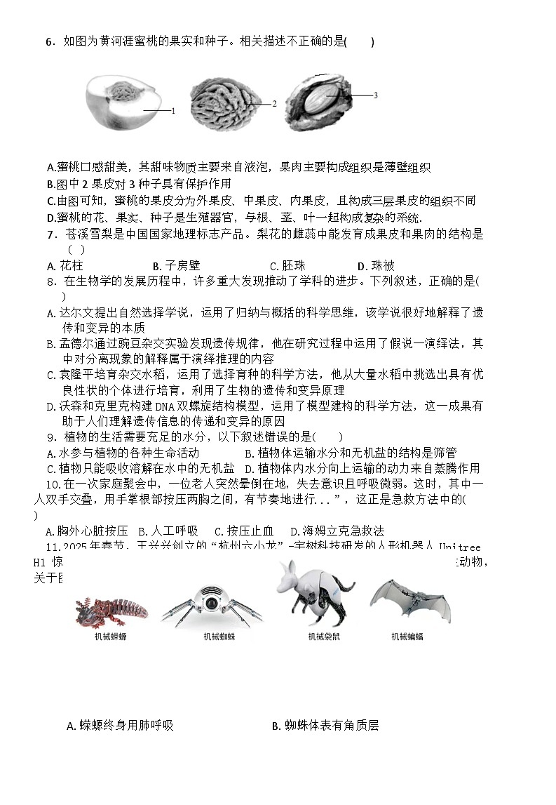 2025年四川省广元市利州区八年级二诊生物试题 （中考模拟）第2页