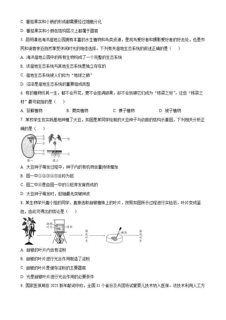 2025年云南省楚雄彝族自治州大姚县中考一模生物试题（中考模拟）第2页