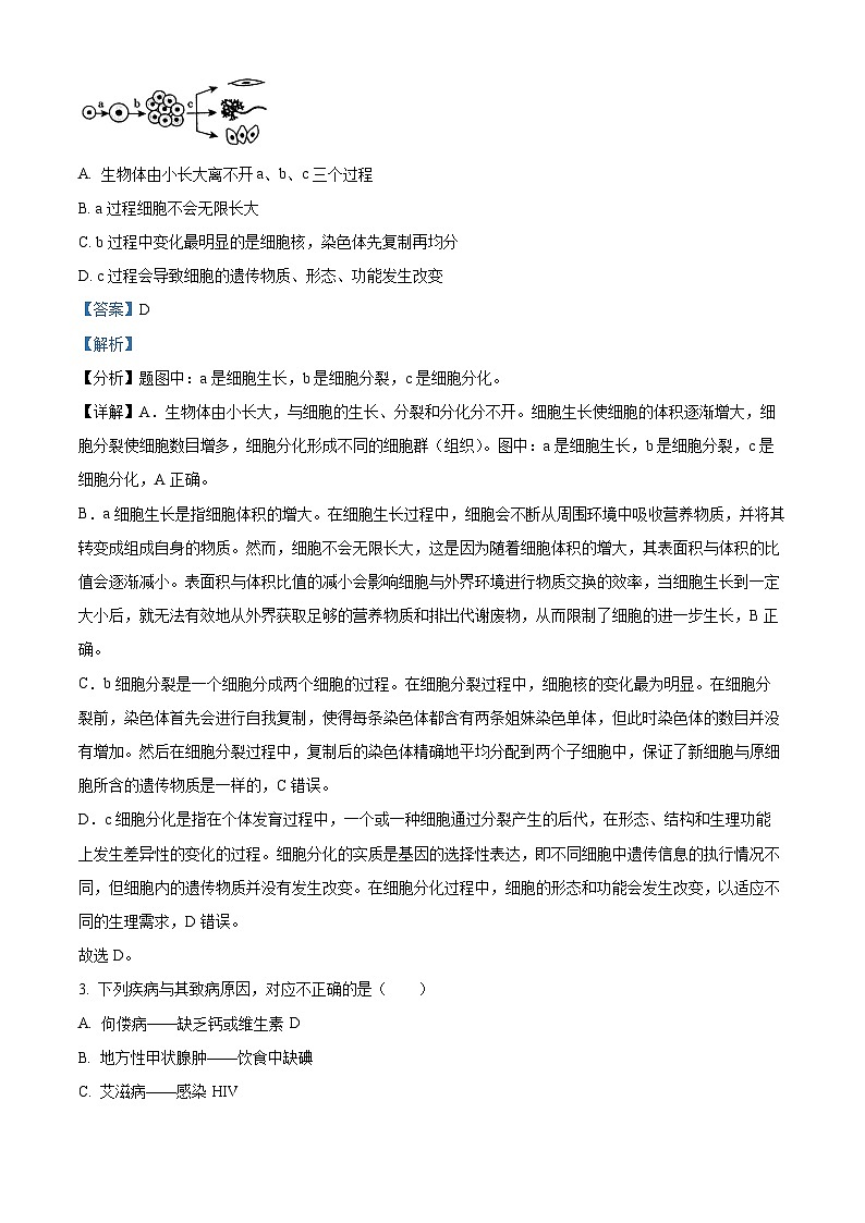 2025年山东省济南市莱芜区钢城区中考二模生物试题（解析版）第2页