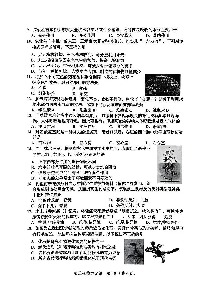 2025年山东省淄博市高新区小中考二模生物试题第2页