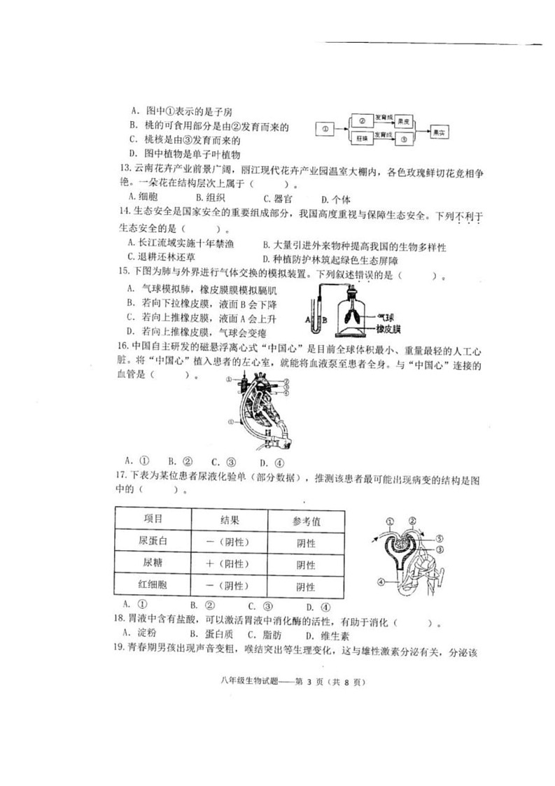 2025年云南省大理白族自治州中考二模生物试题第3页