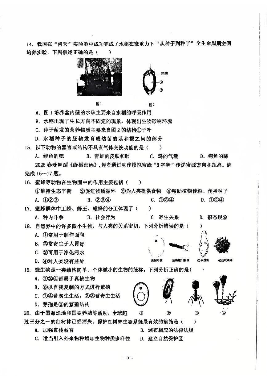 2025年广东省东莞市九校中考一模生物试卷（中考模拟 ）第3页