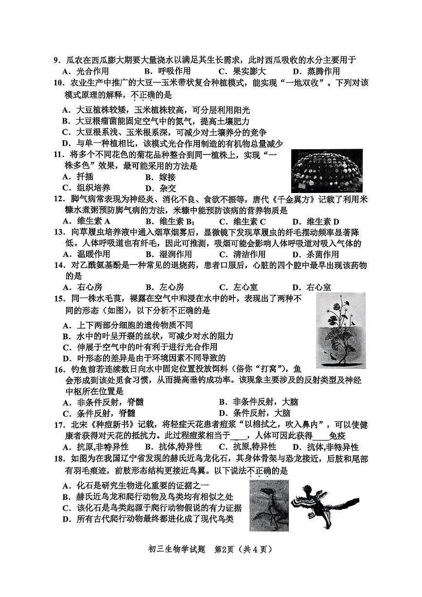 2025年山东省淄博市高新区小中考二模生物试题（中考模拟 ）第2页
