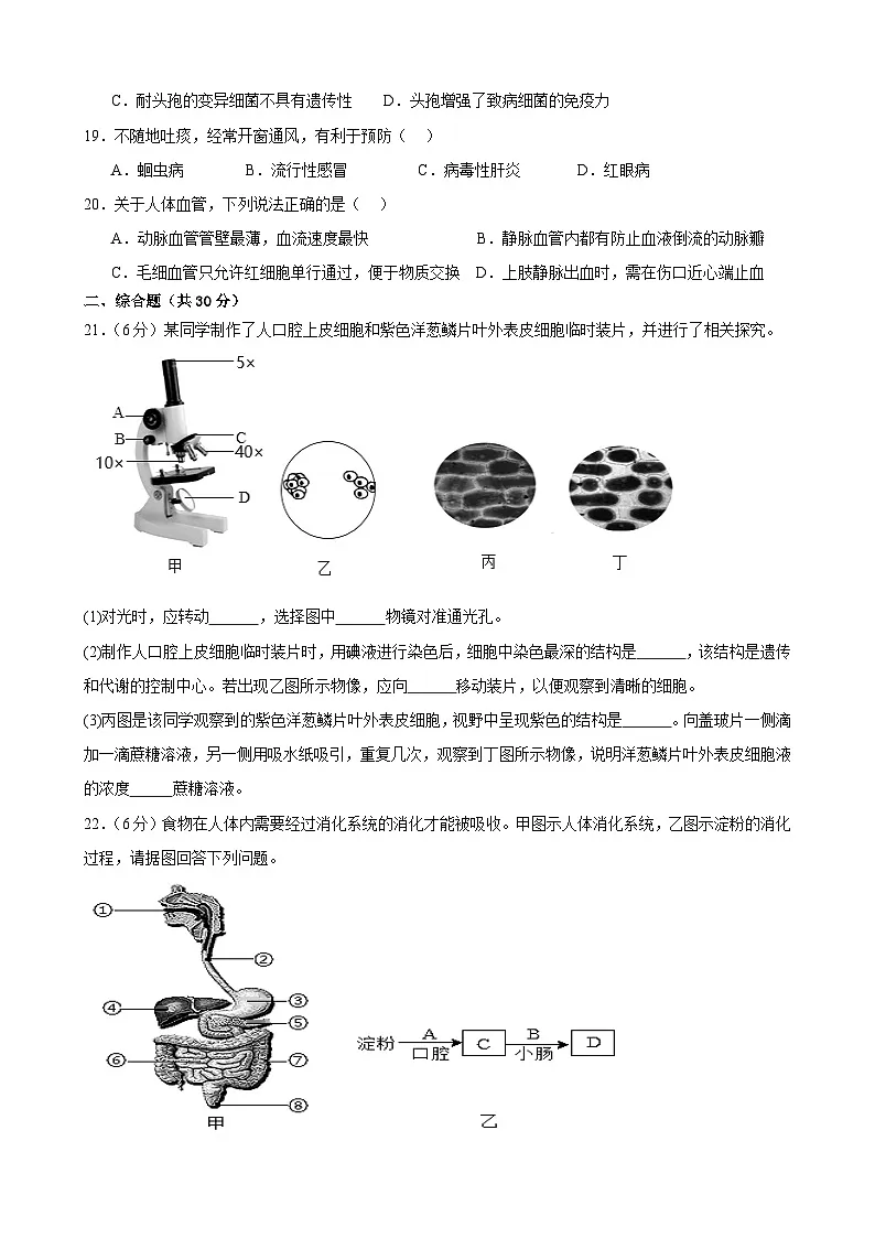 2025年甘肃省武威市凉州区武威四中、十六中九年级三模生物试题（中考模拟 ）第3页