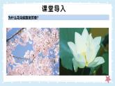 1.1.2生物學(xué)是探索生命的科學(xué)——初中生物學(xué)北師大版（2024）七年級上冊課件
