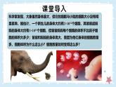 2.3.1細(xì)胞通過分裂而增殖——初中生物學(xué)北師大版（2024）七年級上冊課件