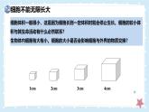 2.3.1細(xì)胞通過分裂而增殖——初中生物學(xué)北師大版（2024）七年級上冊課件