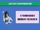 3.1 被子植物的一生（圖解重難點）復(fù)習(xí)課件 2025學(xué)年人教版生物七年級下冊