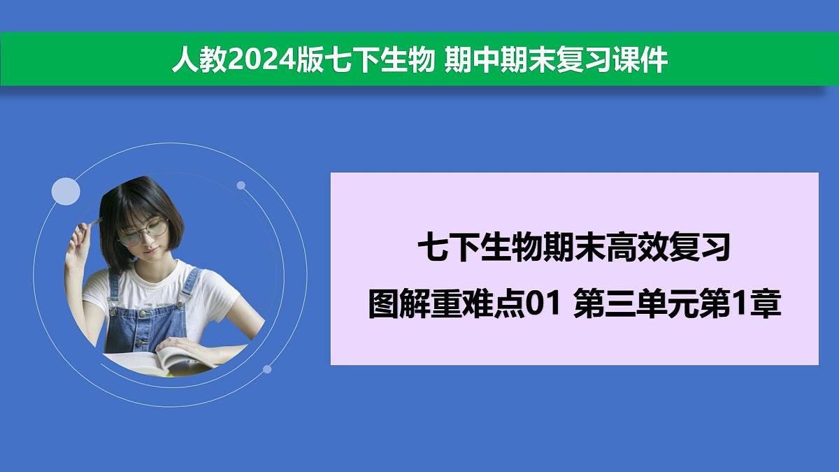 3.1 被子植物的一生（图解重难点）复习课件 2025学年人教版生物七年级下册第2页