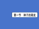 3.1 被子植物的一生（圖解重難點）復(fù)習(xí)課件 2025學(xué)年人教版生物七年級下冊