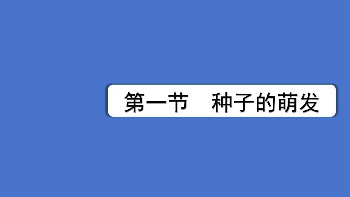3.1 被子植物的一生（图解重难点）复习课件 2025学年人教版生物七年级下册第3页