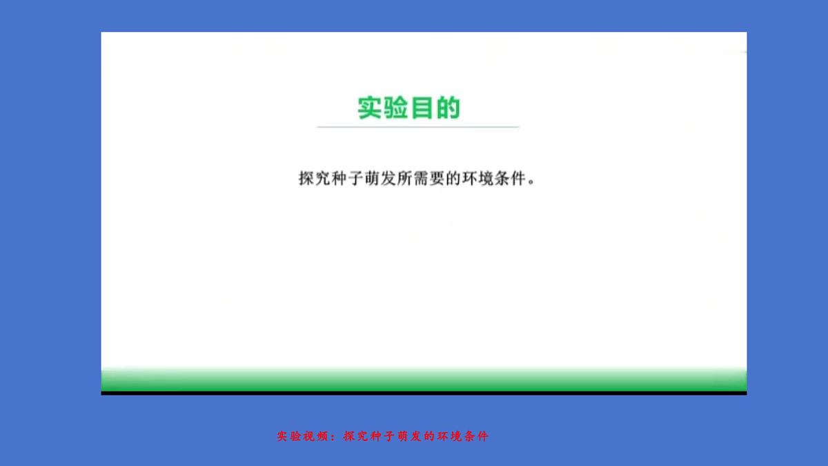 3.1 被子植物的一生（图解重难点）复习课件 2025学年人教版生物七年级下册第4页
