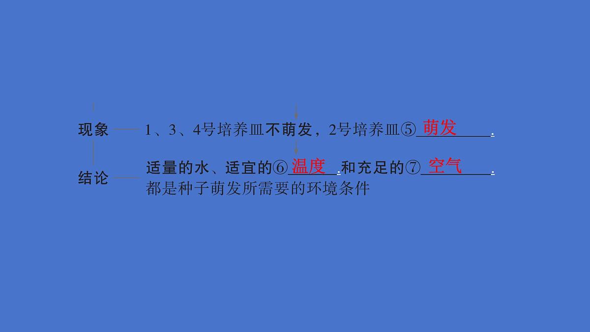 3.1 被子植物的一生（图解重难点）复习课件 2025学年人教版生物七年级下册第6页