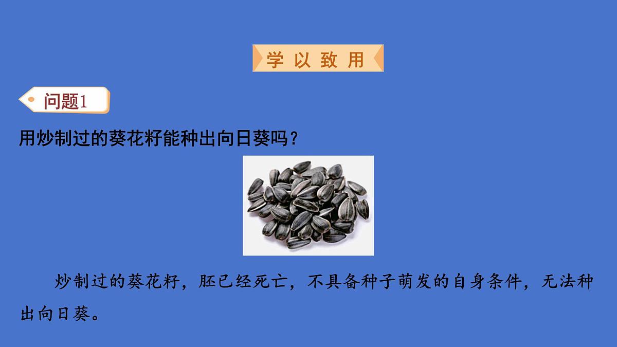 3.1 被子植物的一生（图解重难点）复习课件 2025学年人教版生物七年级下册第7页