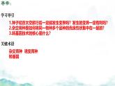 初中 生物 濟南版（2024）七年級下冊4.3.5  生物育種技術(shù)促進農(nóng)業(yè)發(fā)展 課件