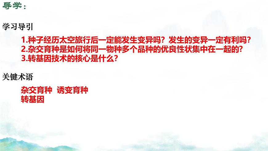 初中 生物 济南版（2024）七年级下册4.3.5  生物育种技术促进农业发展 课件第4页