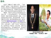 初中 生物 濟(jì)南版（2024）七年級(jí)下冊(cè)4.3.4  遺傳信息改變可引起生物變異 課件