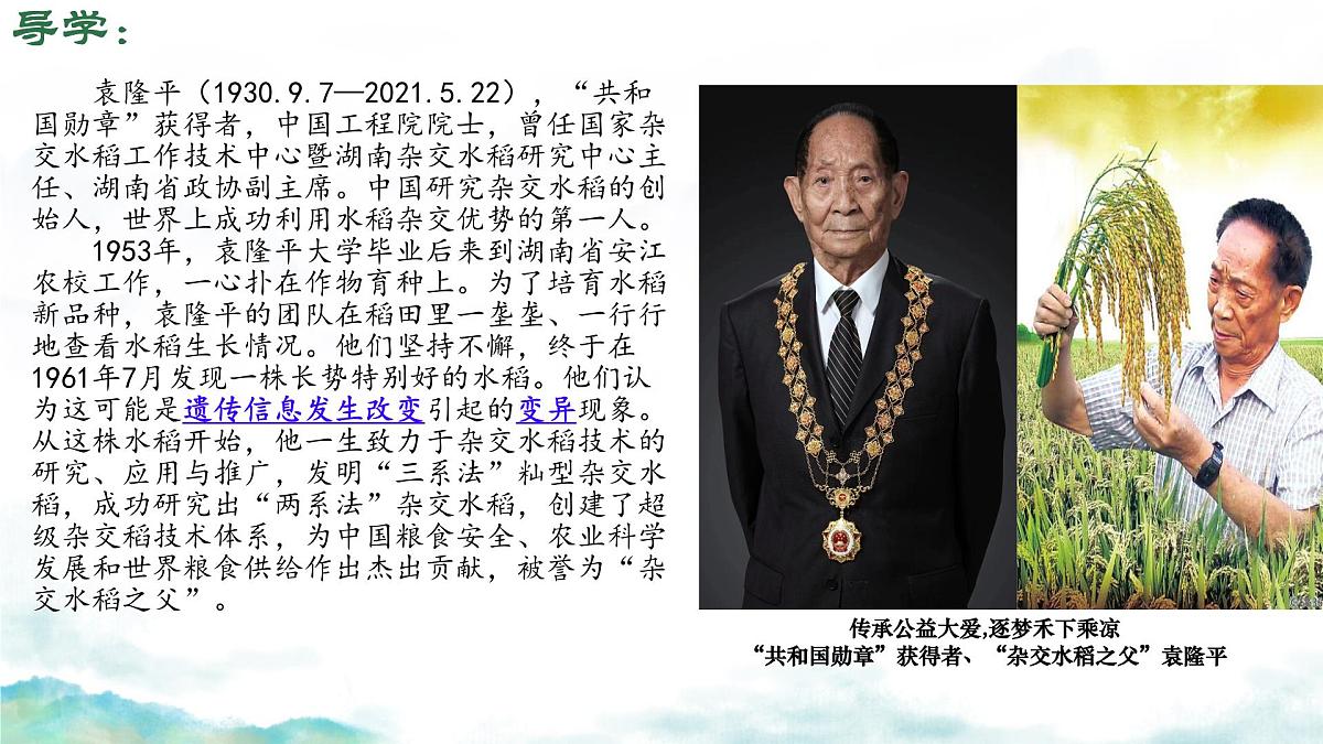 初中 生物 济南版（2024）七年级下册4.3.4 遗传信息改变可引起生物变异 课件第1页