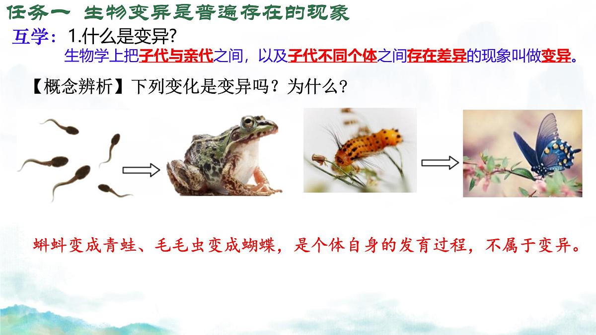 初中 生物 济南版（2024）七年级下册4.3.4 遗传信息改变可引起生物变异 课件第7页