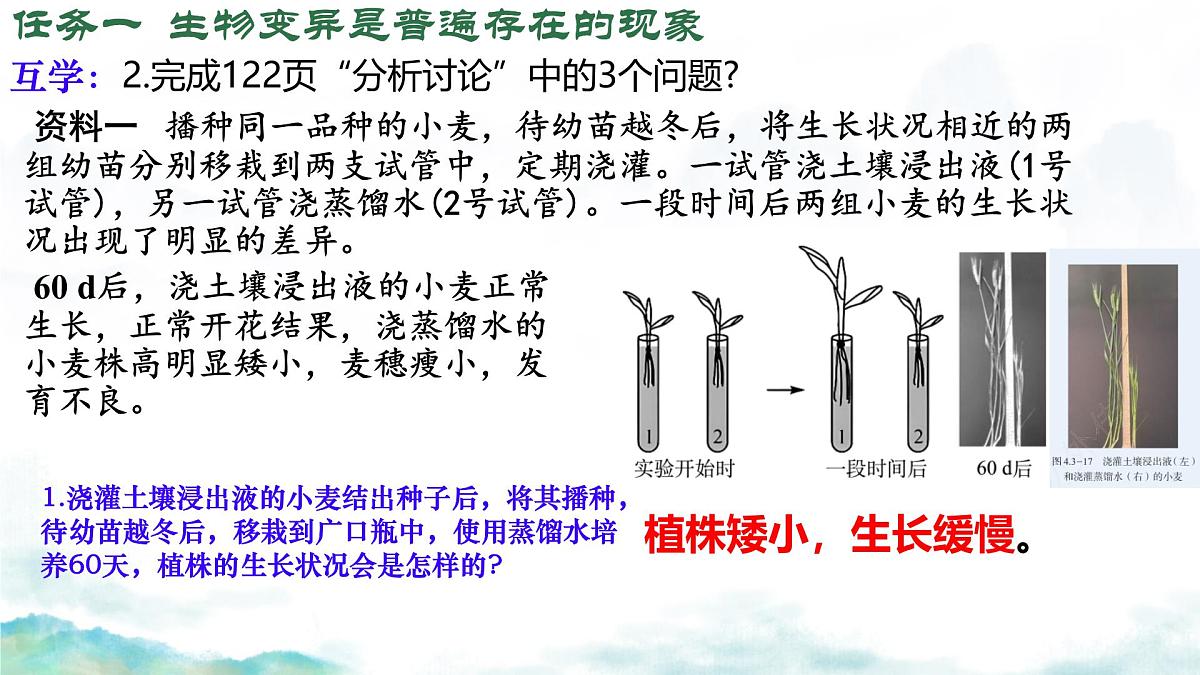 初中 生物 济南版（2024）七年级下册4.3.4 遗传信息改变可引起生物变异 课件第8页