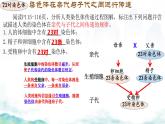 初中 生物 濟(jì)南版（2024）七年級下冊4.3.3  性染色體決定人的性別 課件