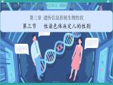 初中 生物 濟(jì)南版（2024）七年級下冊4.3.3  性染色體決定人的性別 課件