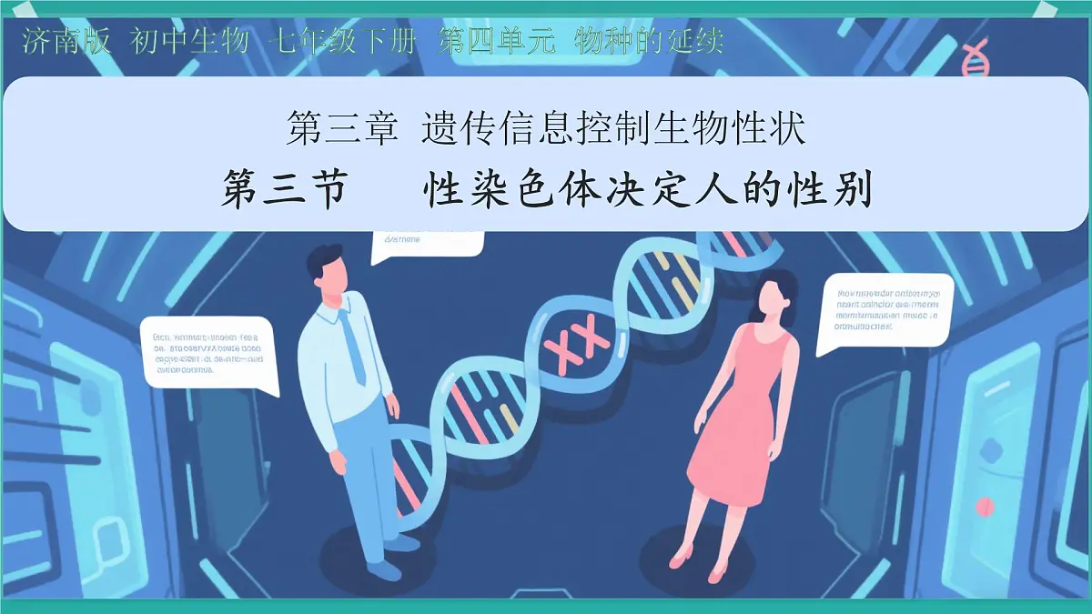 初中 生物 济南版（2024）七年级下册4.3.3 性染色体决定人的性别 课件第2页