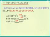 初中 生物 濟(jì)南版（2024）七年級下冊4.3.3  性染色體決定人的性別 課件