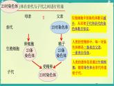 初中 生物 濟(jì)南版（2024）七年級下冊4.3.3  性染色體決定人的性別 課件