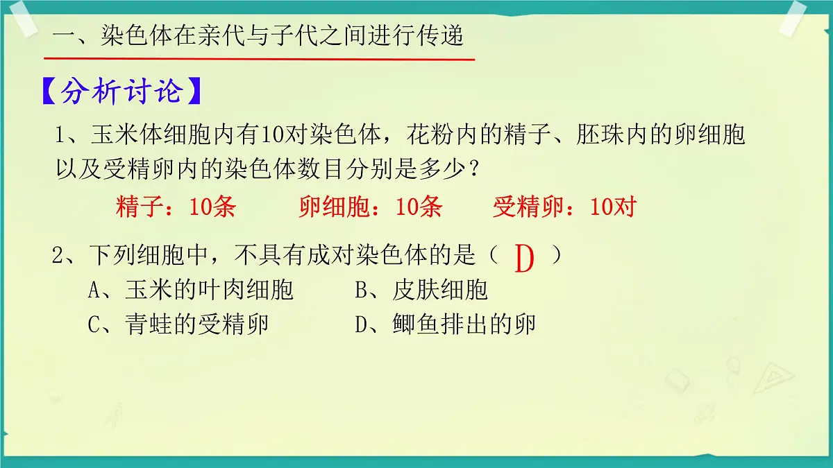 初中 生物 济南版（2024）七年级下册4.3.3 性染色体决定人的性别 课件第6页