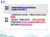 初中 生物 濟(jì)南版（2024）七年級(jí)下冊(cè)4.3.2  生物的性狀主要由基因決定 課件