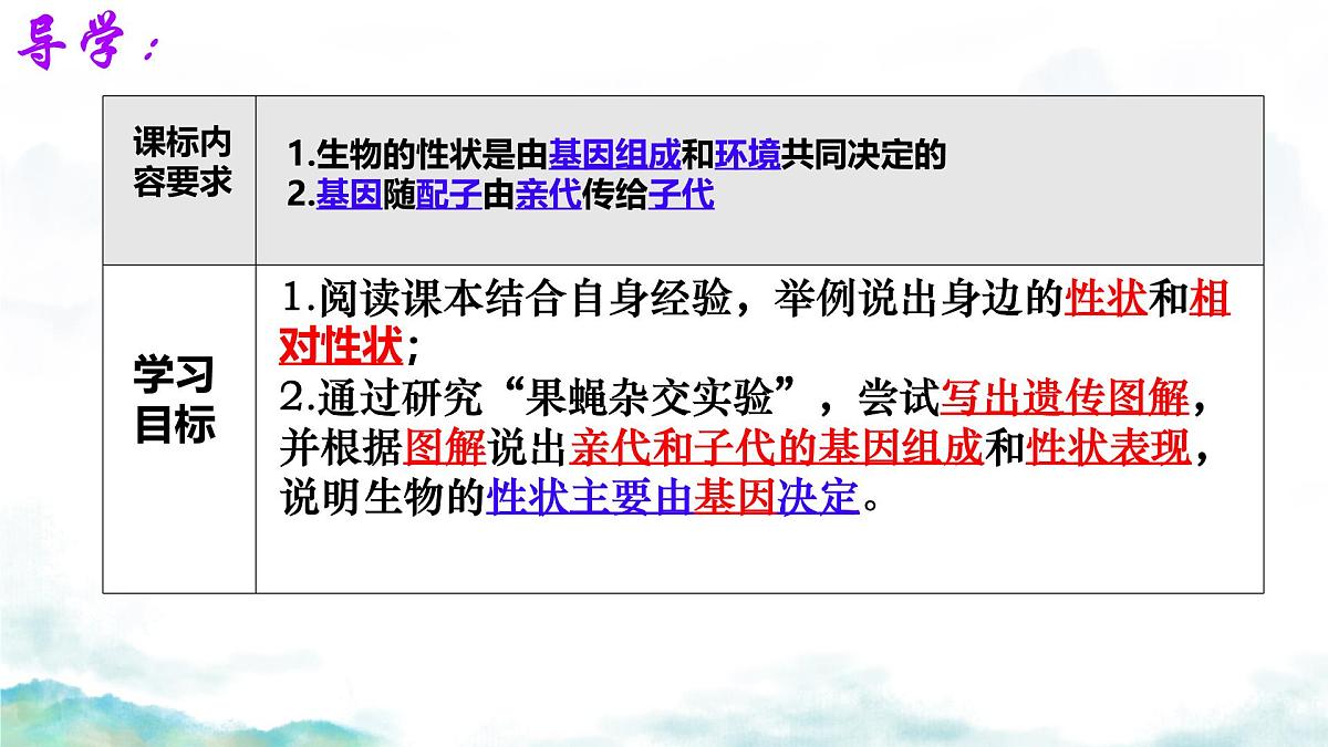 初中 生物 济南版（2024）七年级下册4.3.2  生物的性状主要由基因决定 课件第2页