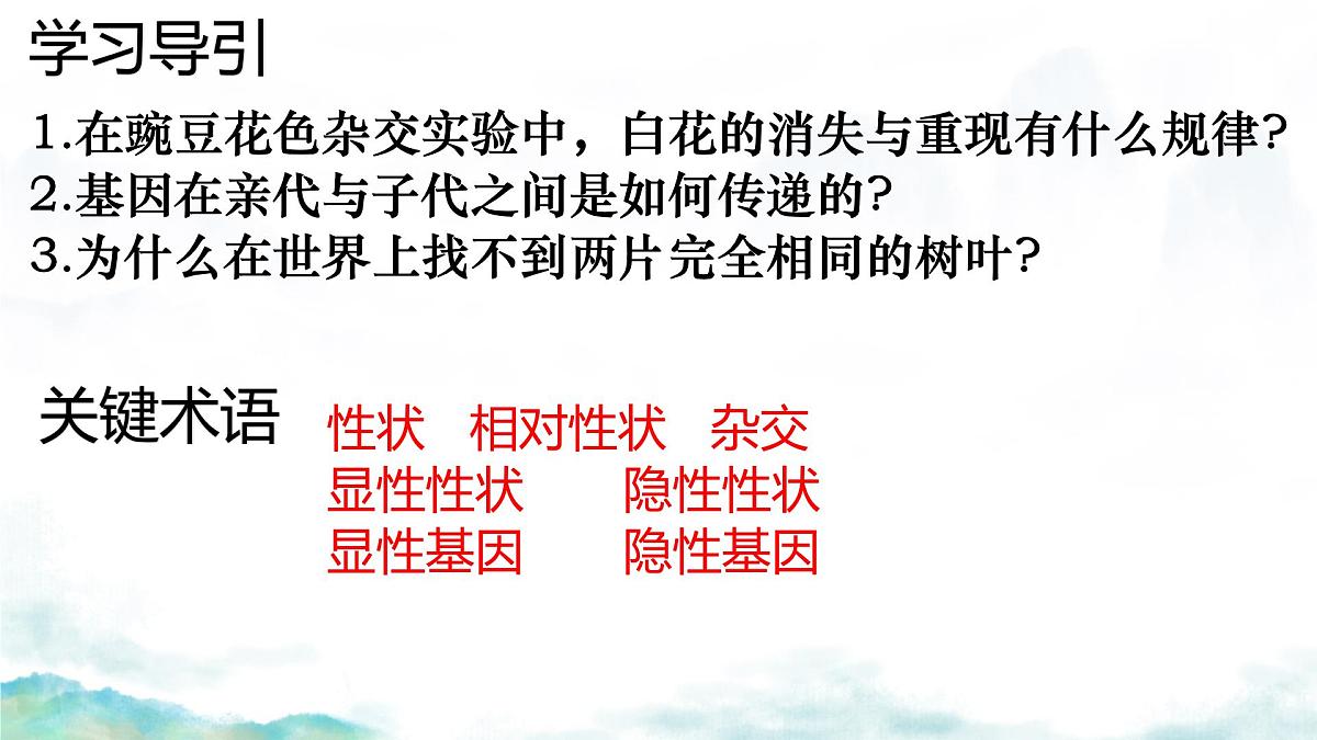 初中 生物 济南版（2024）七年级下册4.3.2  生物的性状主要由基因决定 课件第4页