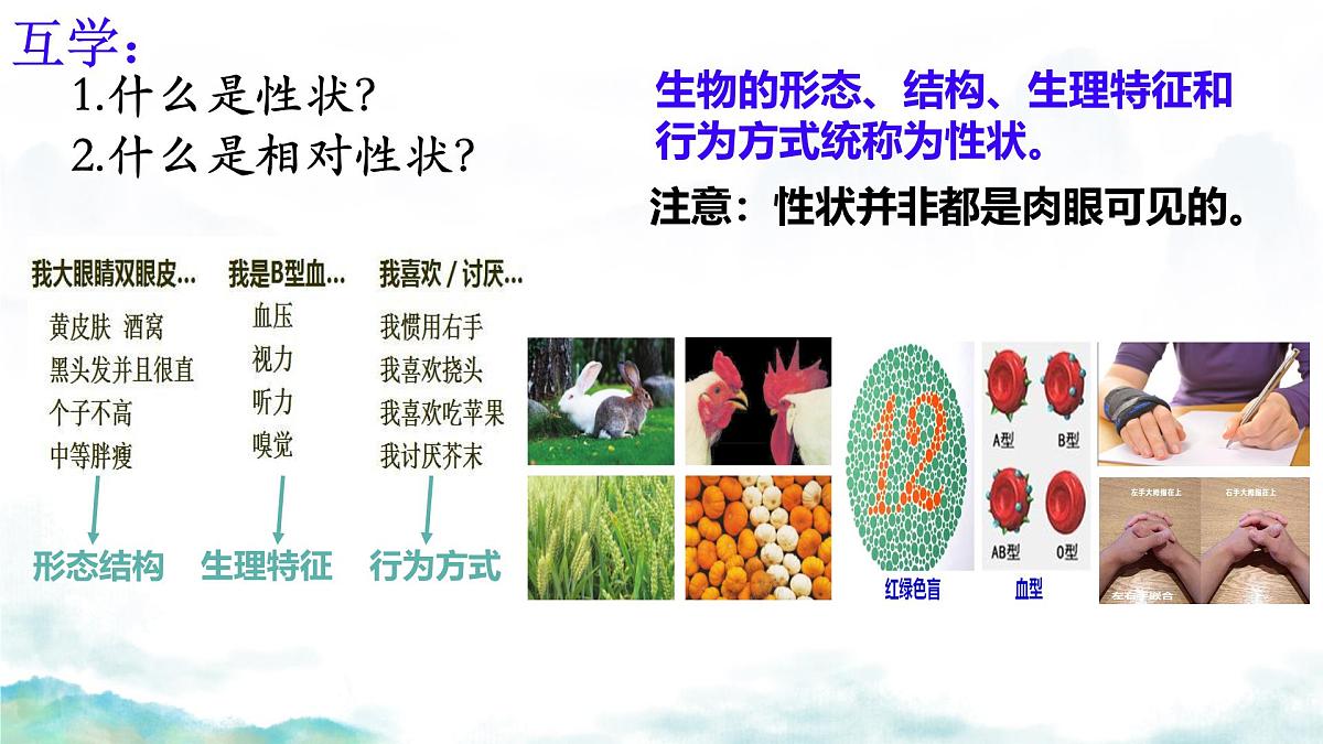 初中 生物 济南版（2024）七年级下册4.3.2  生物的性状主要由基因决定 课件第6页