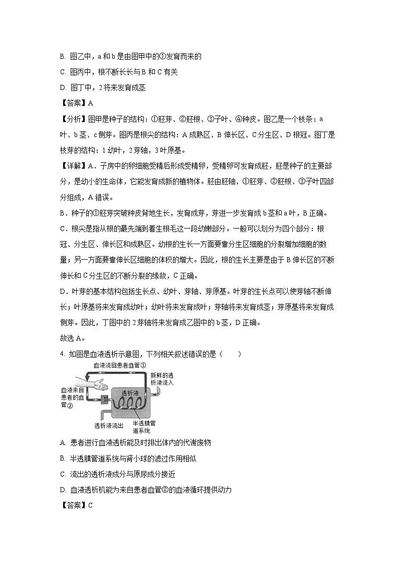 2025年内蒙古锡林郭勒盟三县联考八年级中考二模生物试卷（解析版）第3页