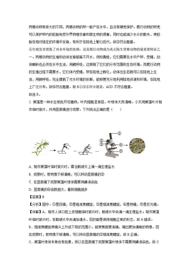 2025年广东省梅州市中考一模生物试卷（解析版）第2页