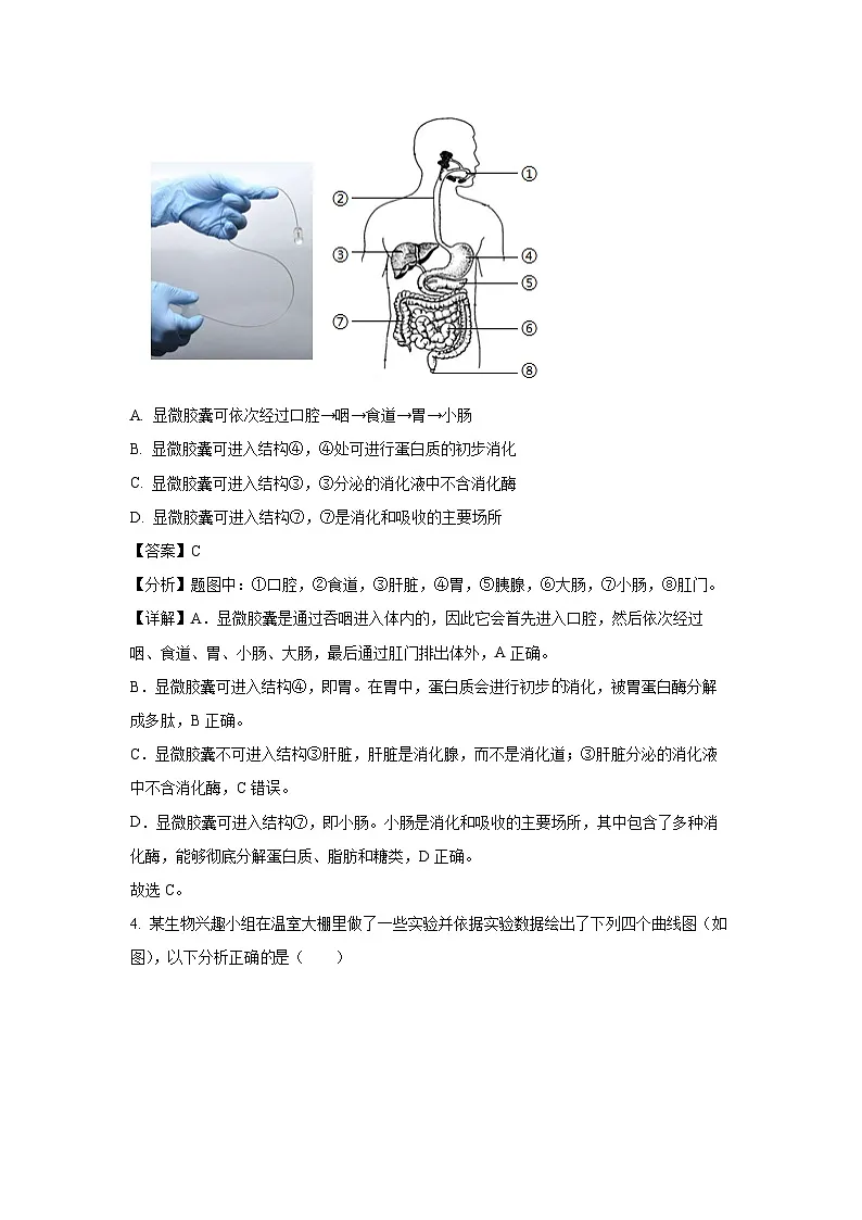 2025年江苏省徐州市新沂市八年级中考一模生物试卷（解析版）第3页