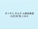 初中 生物 冀少版（2024）七年級(jí)下冊(cè)第三單元 第五章 人體生命活動(dòng)的調(diào)節(jié)  復(fù)習(xí)課件