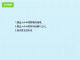 初中 生物 冀少版（2024）七年級(jí)下冊(cè)第三單元 第五章 人體生命活動(dòng)的調(diào)節(jié)  復(fù)習(xí)課件