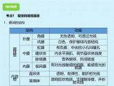 初中 生物 冀少版（2024）七年級(jí)下冊(cè)第三單元 第五章 人體生命活動(dòng)的調(diào)節(jié)  復(fù)習(xí)課件