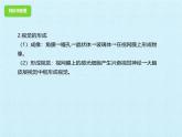 初中 生物 冀少版（2024）七年級(jí)下冊(cè)第三單元 第五章 人體生命活動(dòng)的調(diào)節(jié)  復(fù)習(xí)課件
